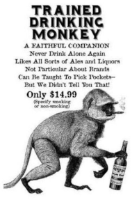 TRAINED DRINKING MONKEY