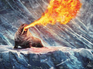 REAL PHOTO OF A WALRUS SHOOTING FIRE