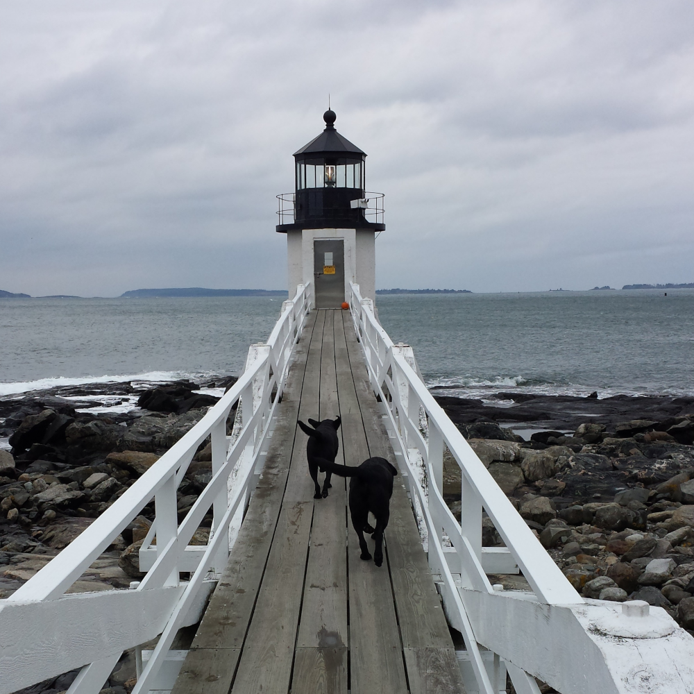 FORREST GUMP, LIGHTHOUSE, MAINE, PORT CLYDE, BLACK LABRADORS, DOGS