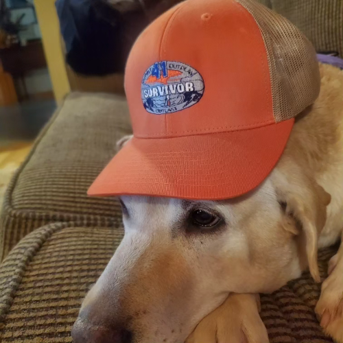 ZINNIE DOG, YELLOW LABRADOR RETRIEVER, SURVIVOR FAN, ZINNIA