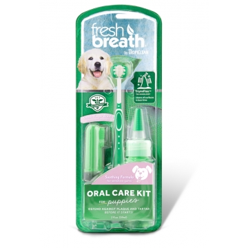 dog toothpaste kit
