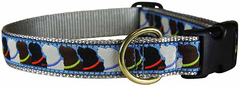 Three Wise Labs Dog Lead  1 Inch by Belted Cow Company. Made in Maine