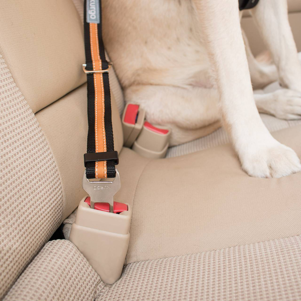 Dog Car Safety Seatbelt Tether
