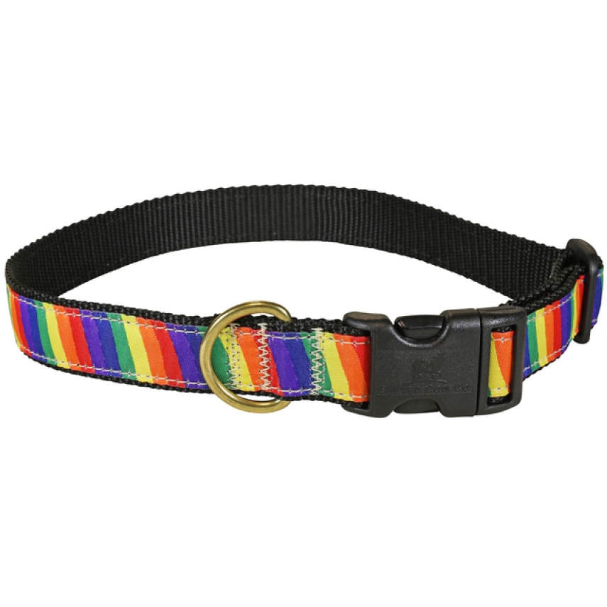 Rainbow - 1-inch Ribbon Dog Collar