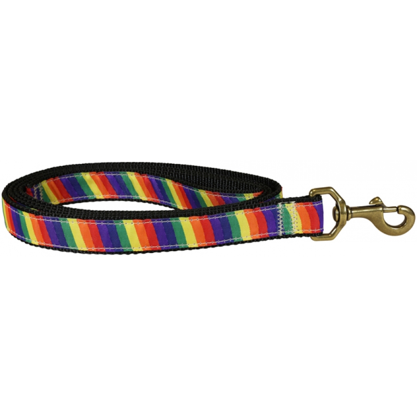 Rainbow 1inch Ribbon Dog Leash