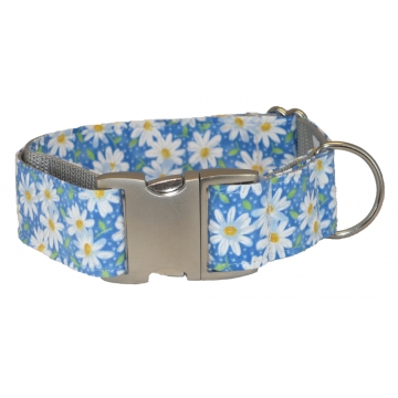 Daisies Dog Collar - Blue