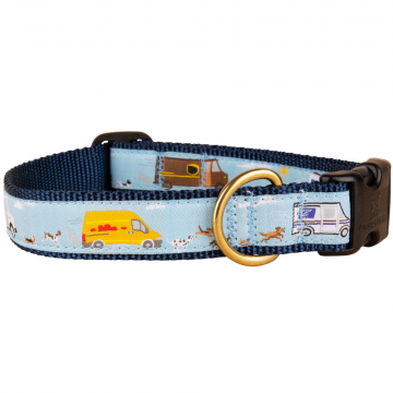 bc-1-inch-ribbon-dog-collar-delivery-dog-dash-1