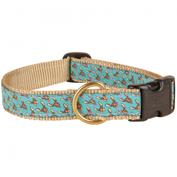 bc-1-inch-ribbon-dog-collar-houndstooth-1