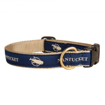 bc-1-inch-ribbon-dog-collar-nantucket-1