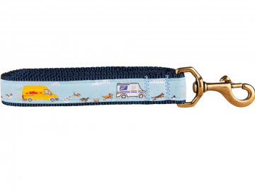 bc-1-inch-ribbon-dog-leash-delivery-dog-dash-1