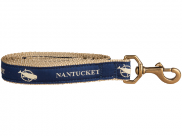 bc-1-inch-ribbon-dog-leash-nantucket-1