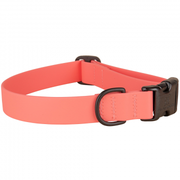 bc-1-inch-waterproof-dog-collar-coral-1