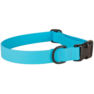 bc-1-inch-waterproof-dog-collar-light-blue-1