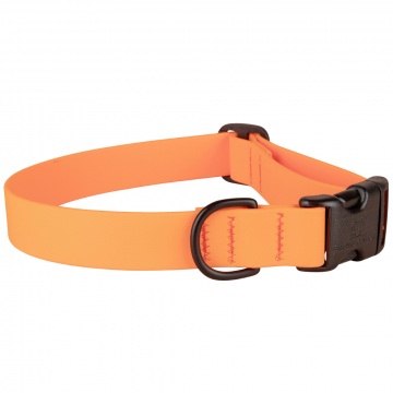 bc-1-inch-waterproof-dog-collar-melon-1