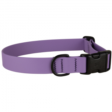 bc-1-inch-waterproof-dog-collar-purple-1