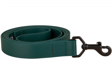 bc-1-inch-waterproof-dog-leash-dark-green-1