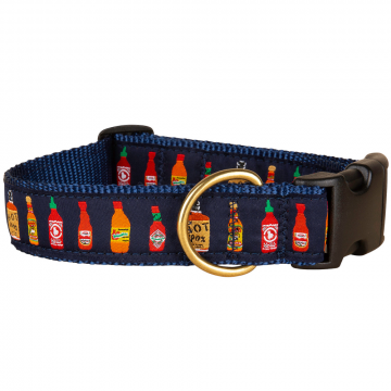 bc-125-inch-ribbon-dog-collar-hot-sauce-1