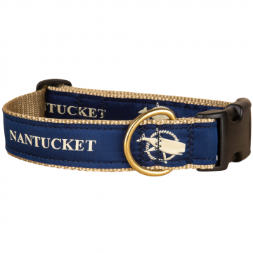 bc-125-inch-ribbon-dog-collar-nantucket-1