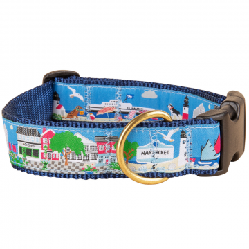 bc-125-inch-ribbon-dog-collar-nantucket-island_life-1