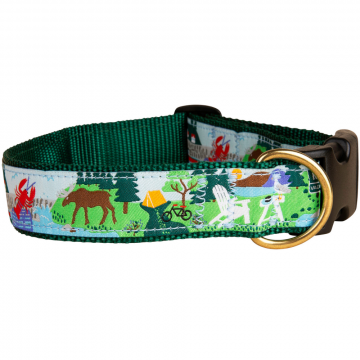 bc-125-inch-ribbon-dog-collar-vacationland-1