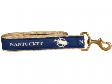 bc-125-inch-ribbon-dog-leash-nantucket-1