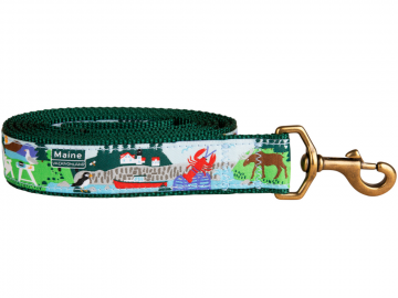 bc-125-inch-ribbon-dog-leash-vacationland-1