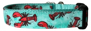 sf-ribbon-dog-collar-aqua-lobster-1